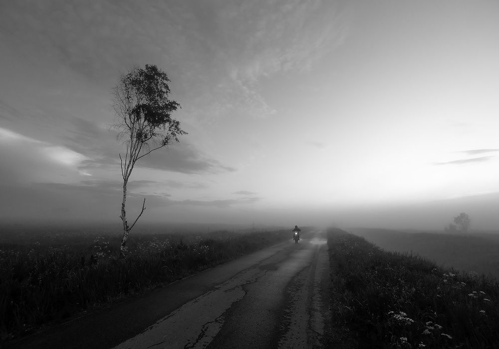 Photograph by Дмитрий Ткаченко