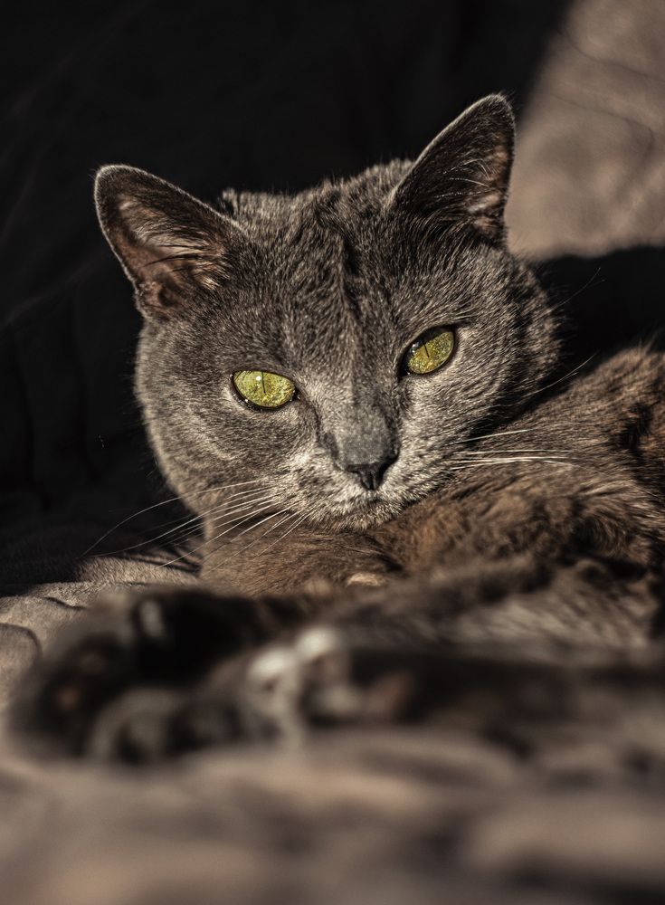 Photograph by Ольга Лобова