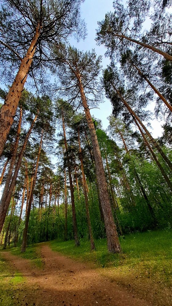 Photograph by Николай Худяков