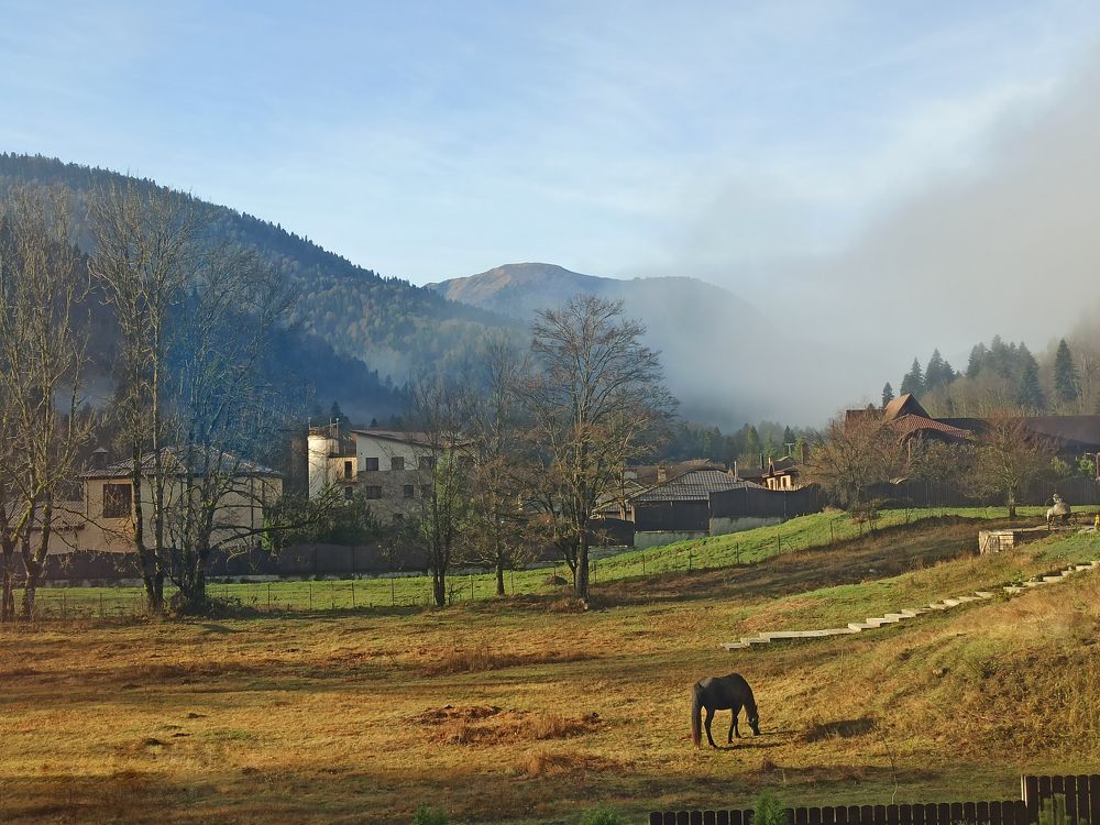 Photograph by Елена Захарова