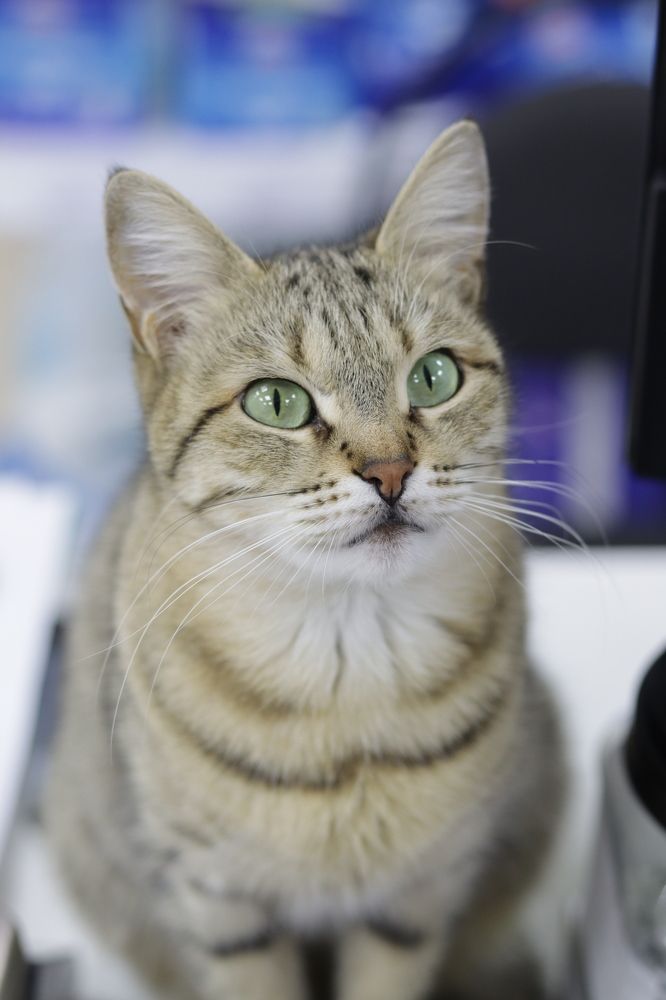 Photograph by Ксения Золотарь