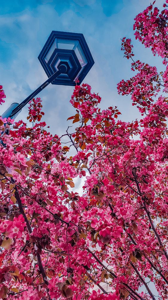 Photograph by Ирина Львова