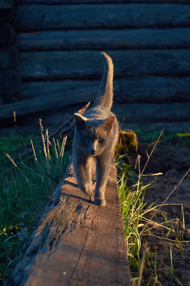 Photograph by Маргарита Гасец