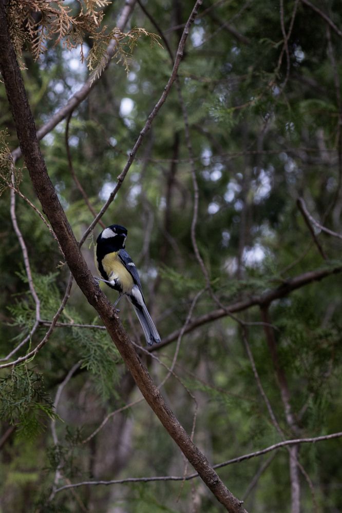 Photograph by Ксения Золотарь