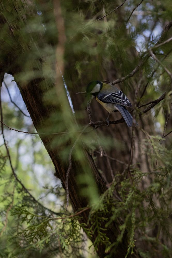 Photograph by Ксения Золотарь