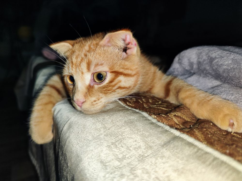 Photograph by Ирина Шибитова