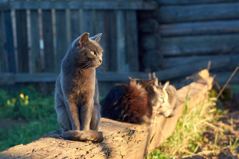 Photograph by Маргарита Гасец