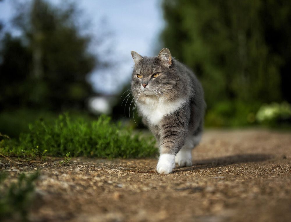 Photograph by Андрей Автухов