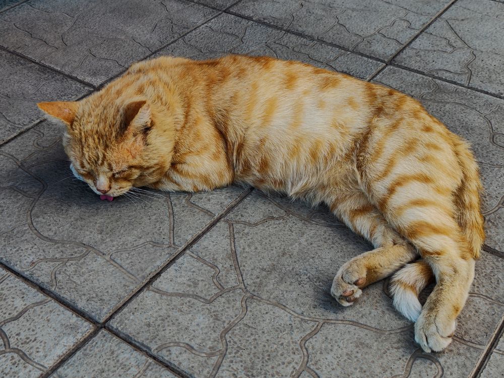 Photograph by Ирина Шибитова