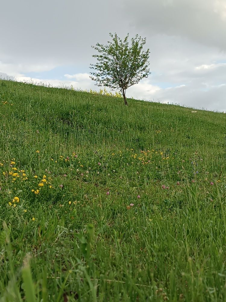 Photograph by Сидорова Ирина