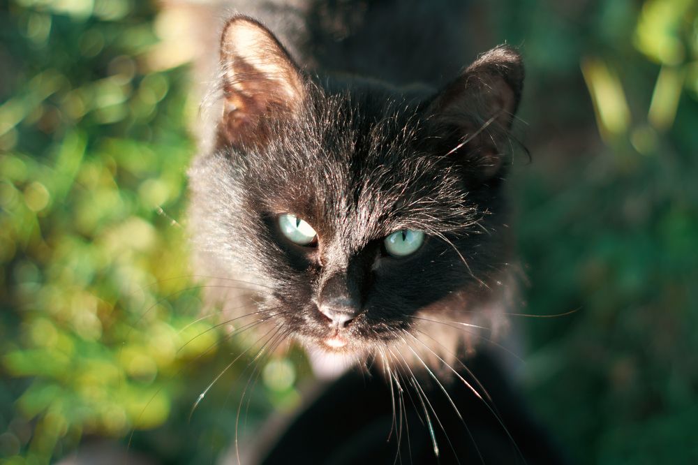 Photograph by Маргарита Гасец