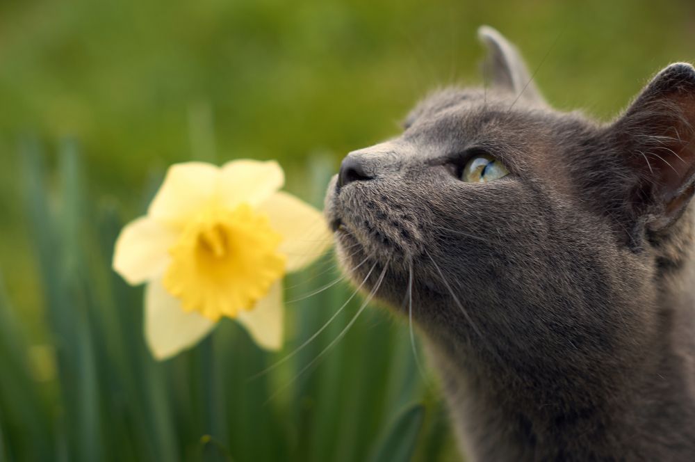 Photograph by Маргарита Гасец