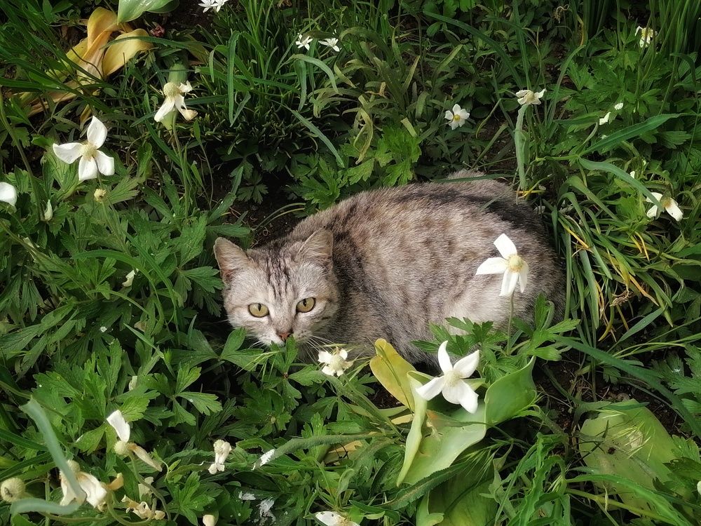 Photograph by Анжелика