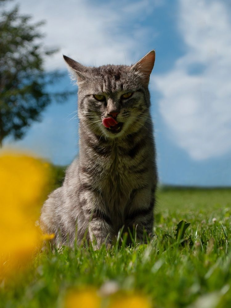 Photograph by Isidora Nikolić