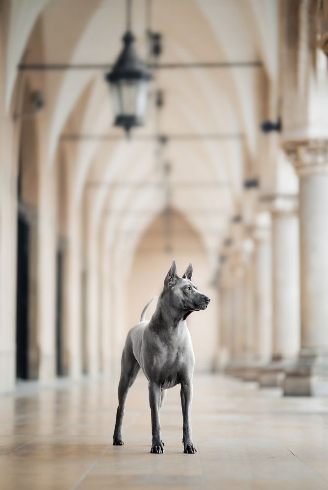 Photograph by Patrycja Dawid