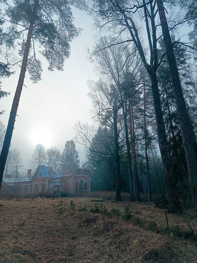 Photograph by Екатерина Одинцова