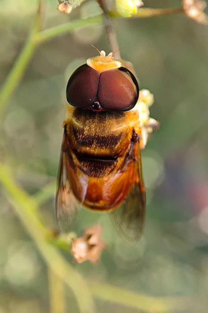 Photograph by Nishant Raj