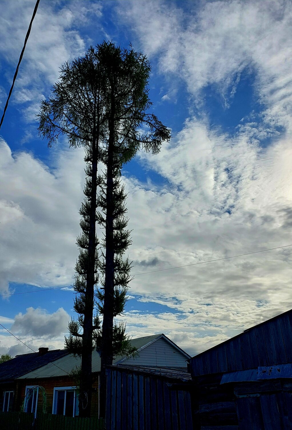 Photo #10672435