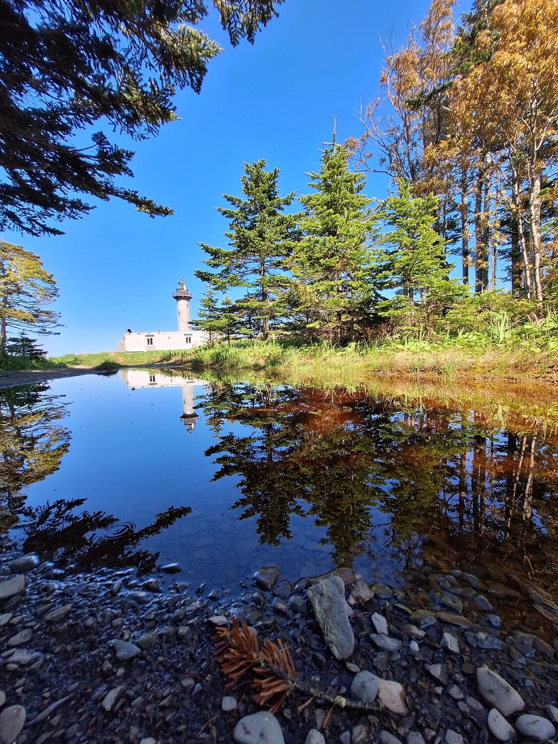 Photo #10672443