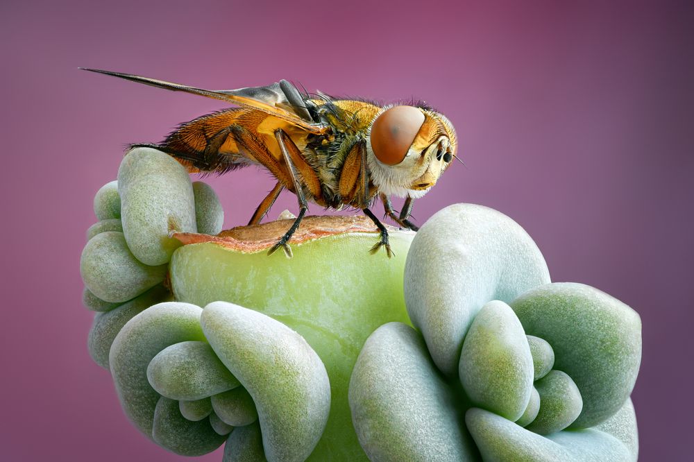 Photograph by Антон Финевич