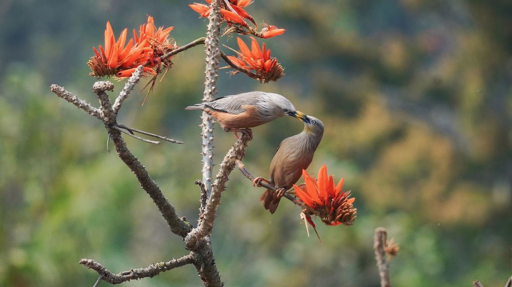 Фотография автора Md shahidul Islam