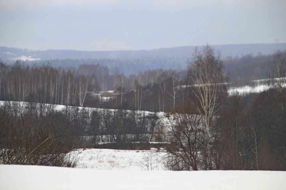 Photograph by Илья Беликов