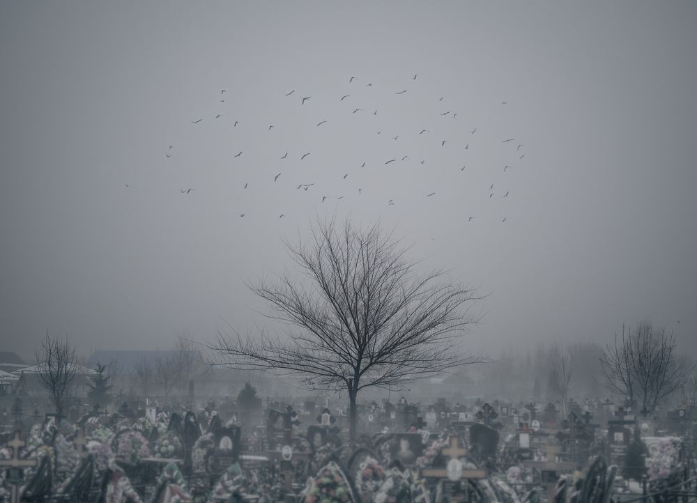 Фотография автора Караваев Антон