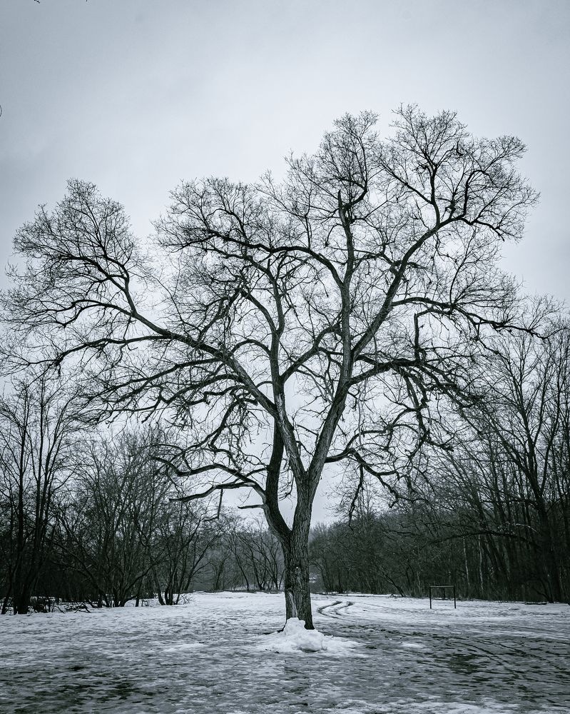 Фотография автора Караваев Антон