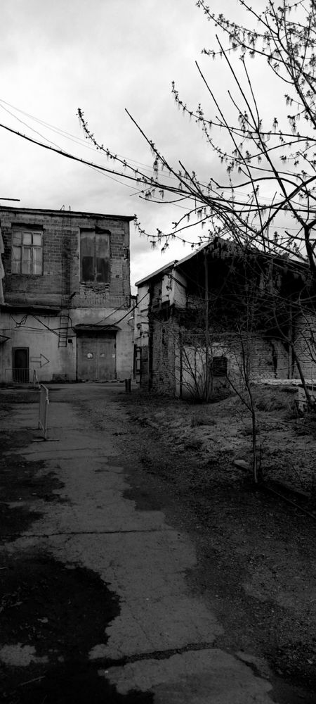 Photograph by Анна Артёменко