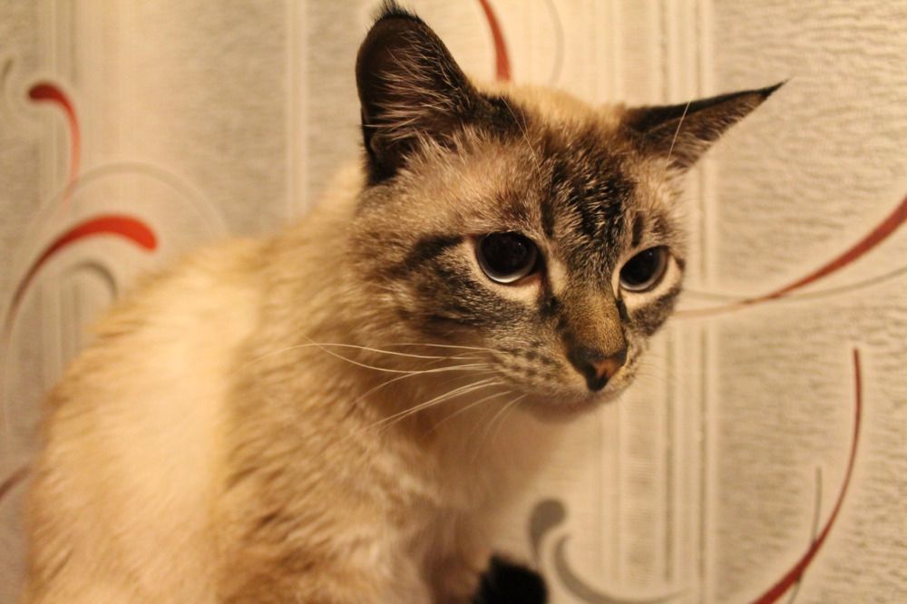 Photograph by Елена Наленч