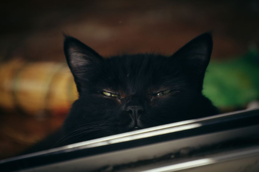 Photograph by Алёна Митькина