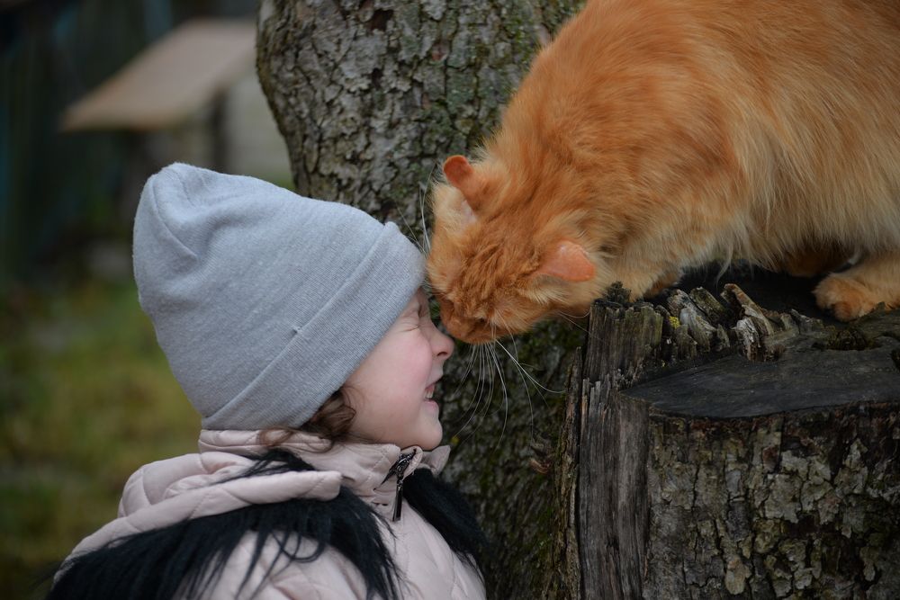 Фотография автора Ольга Круковская