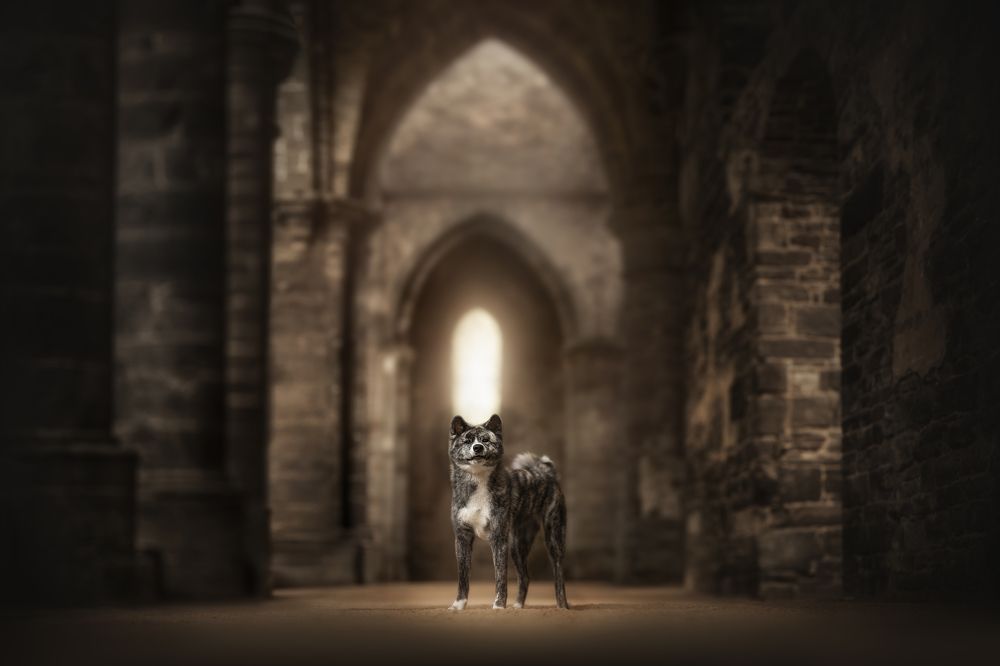 Photograph by Fleur Scholte