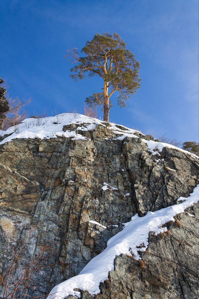 Photograph by Ирина Целовальникова