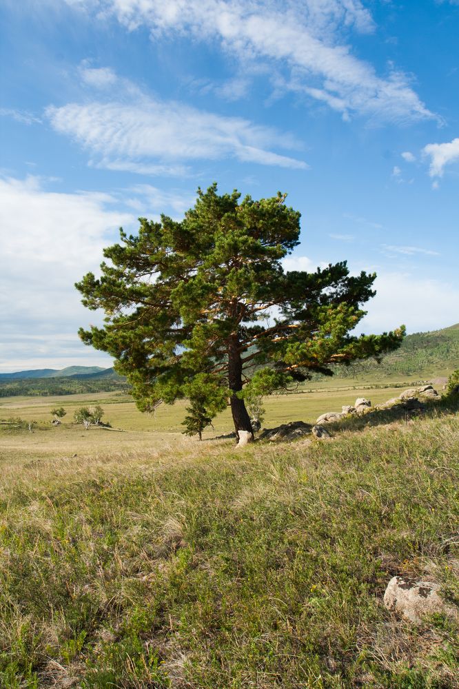 Одиночество
