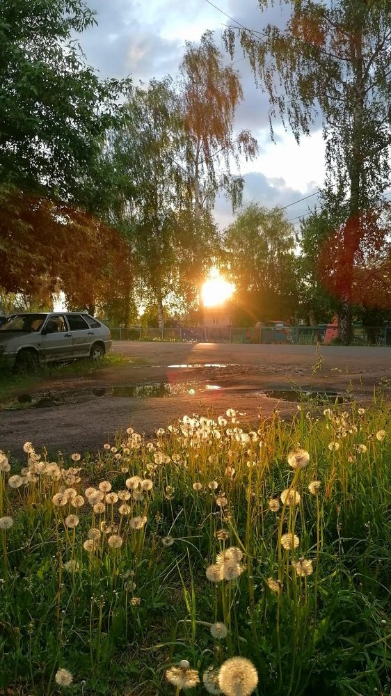 Photograph by Елена Сиднина