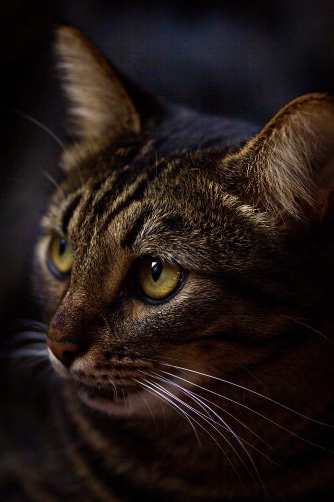 Photograph by Сергей Фаренюк