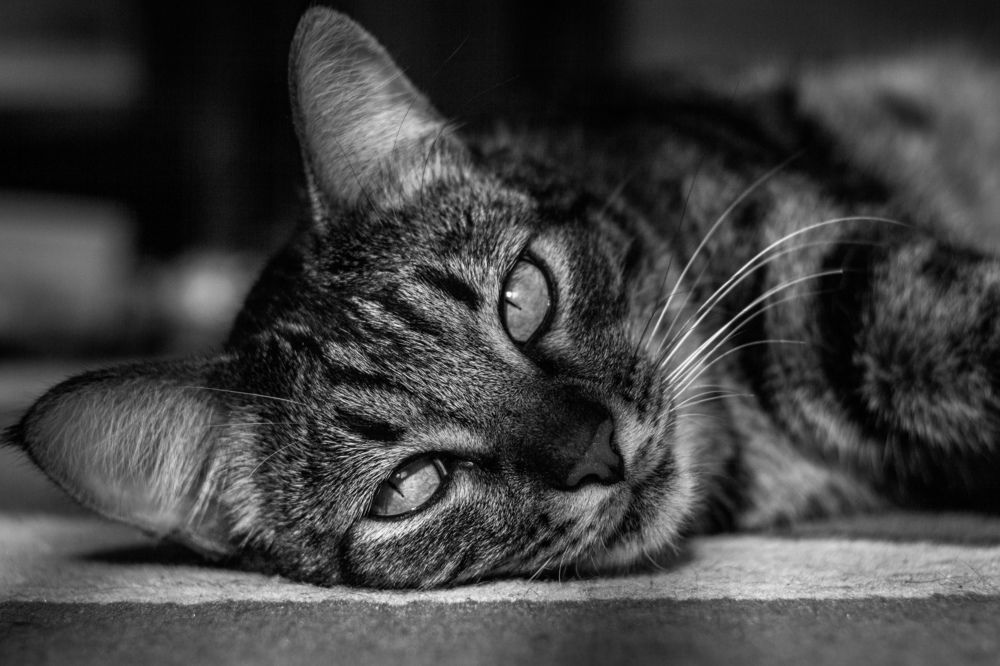 Photograph by Сергей Фаренюк