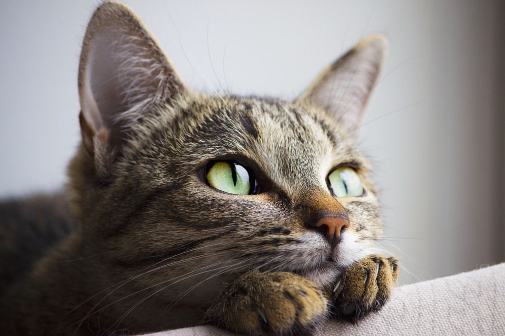 Photograph by Елена Сиднина