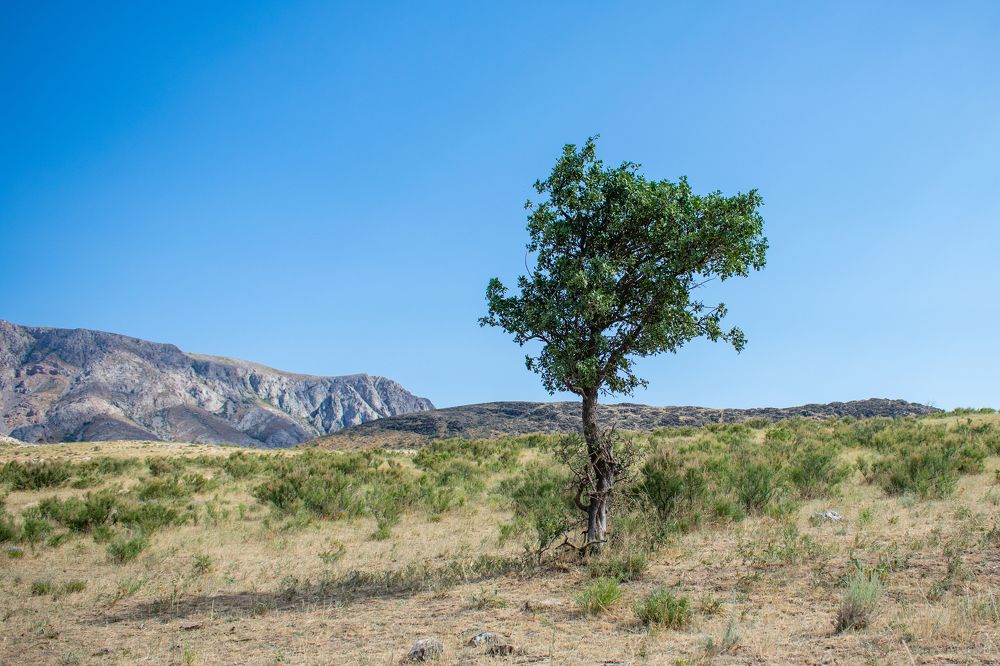 Photograph by Владимир Рогулькин