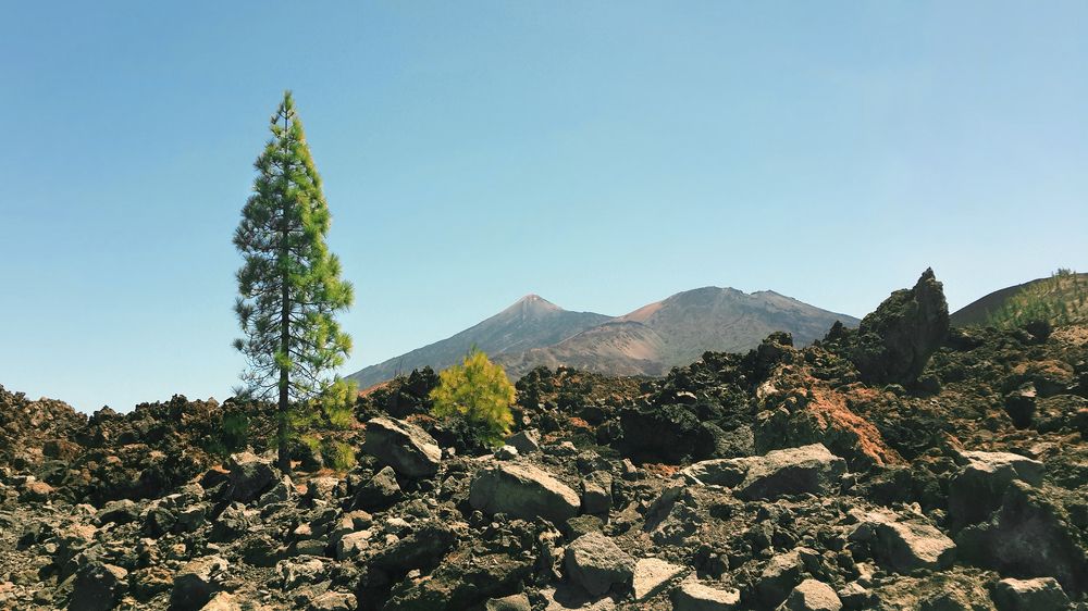 Фотография автора Алексей Карташов