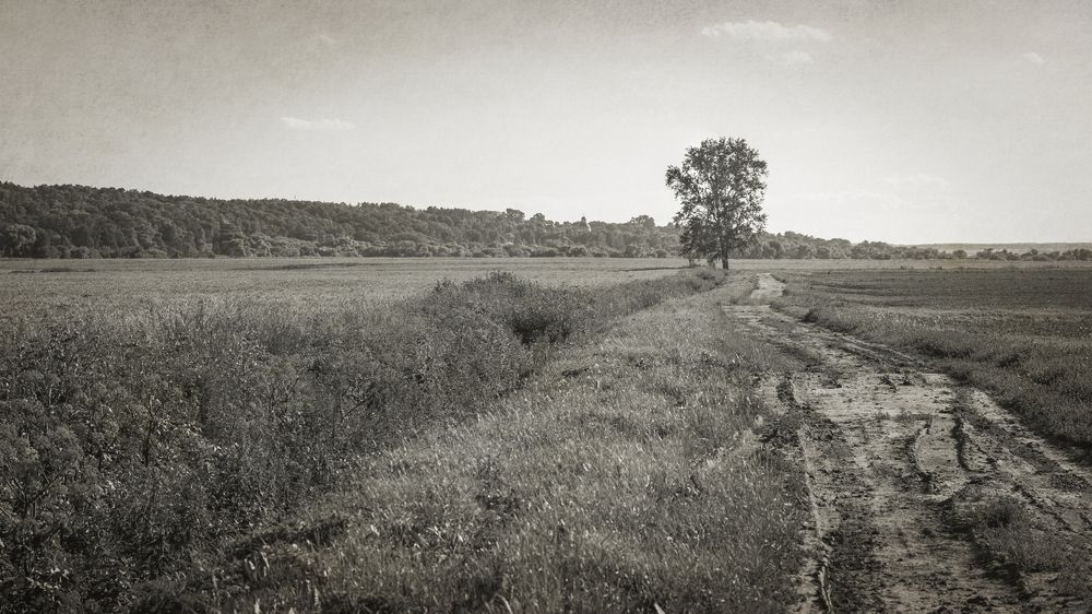 Фотография автора Алексей Карташов