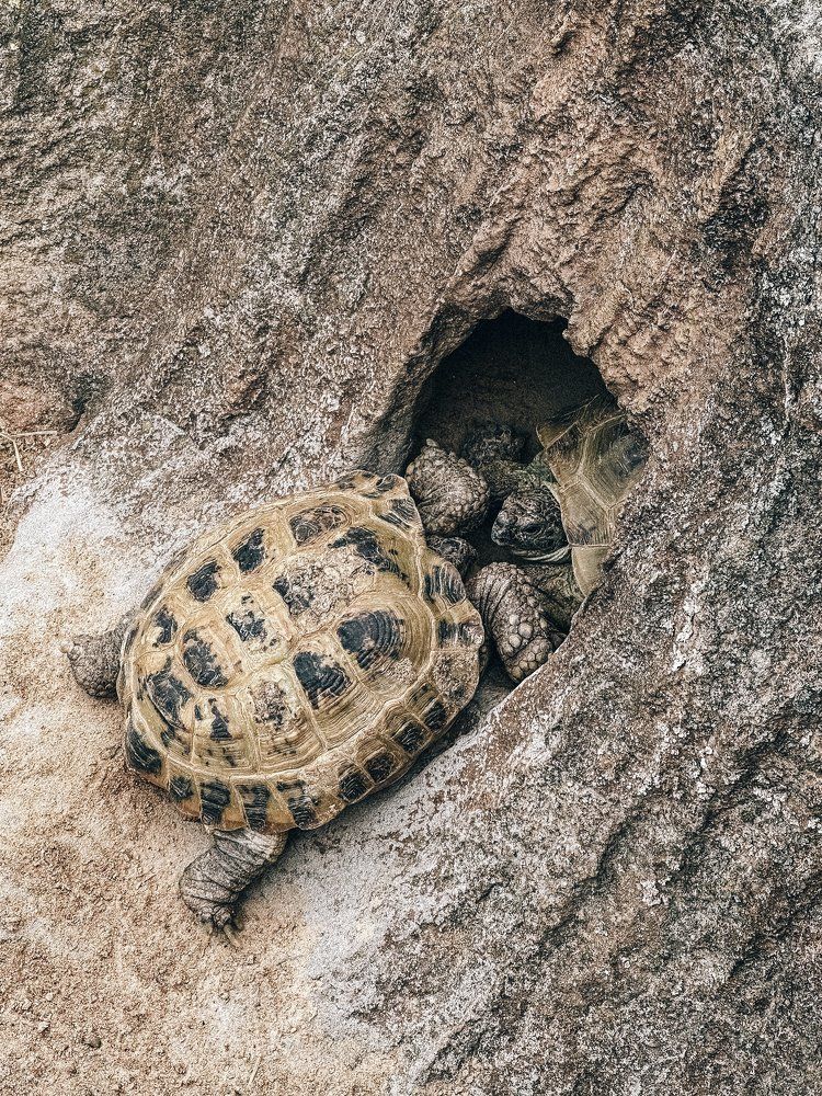 Photograph by Екатерина Бердутина