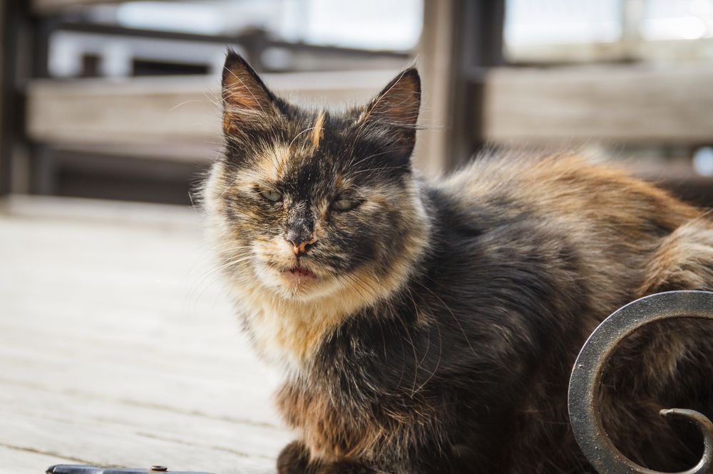 Photograph by Pavel Gukov