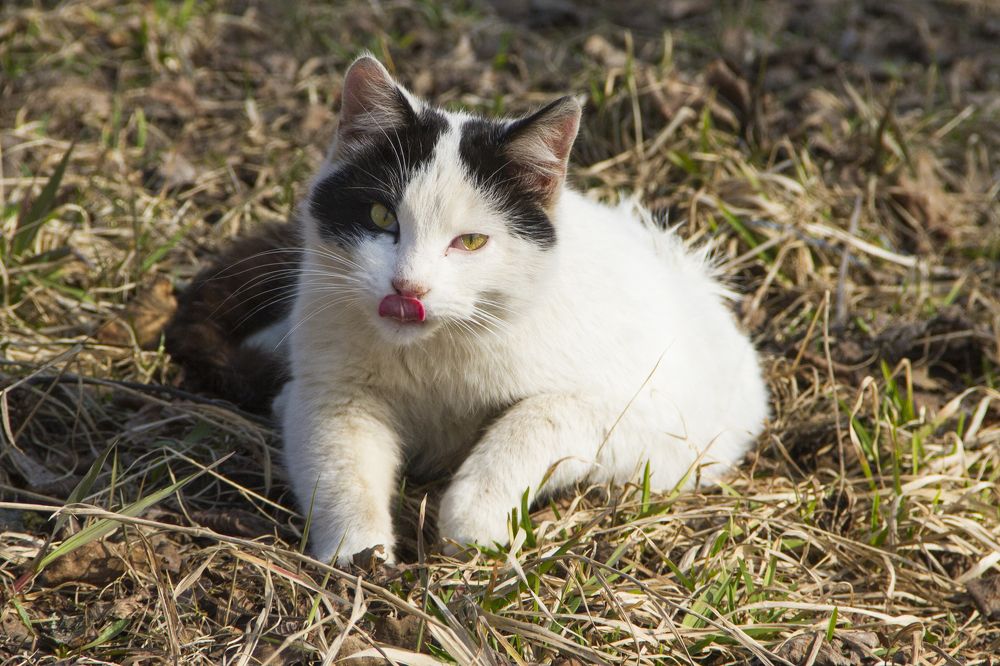 Photograph by Pavel Gukov