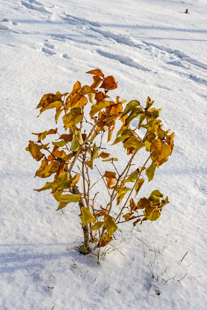 Фотография автора Юрий Баклыков