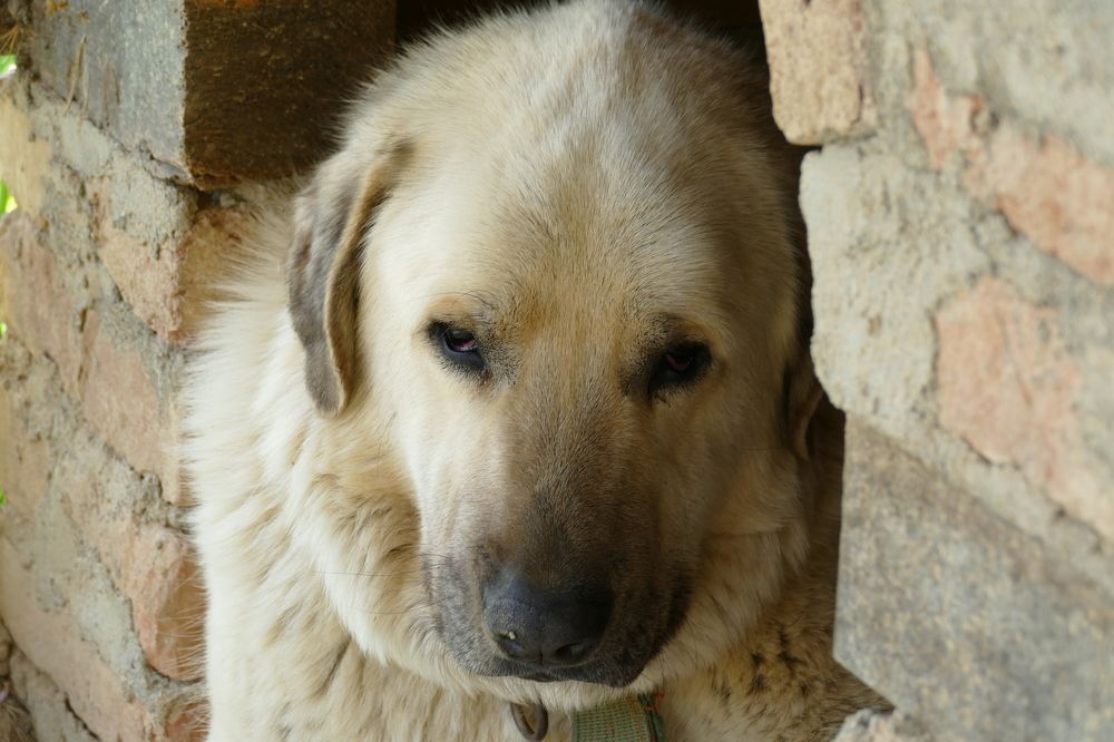 Photograph by Viktorija Spasenoski