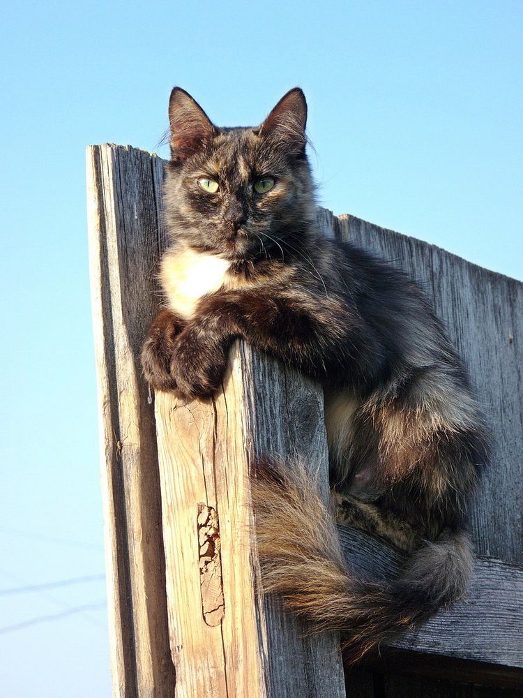 Photograph by Игорь Меньшенин