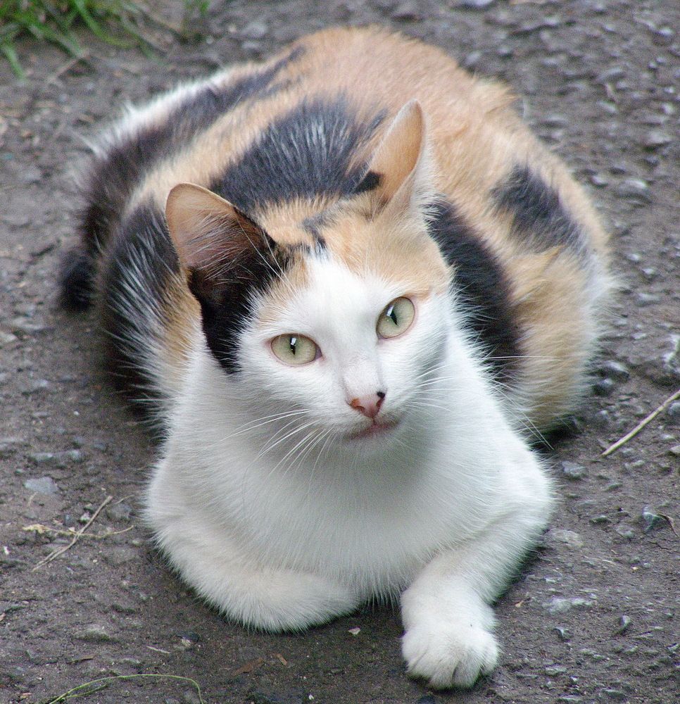 Photograph by Игорь Меньшенин