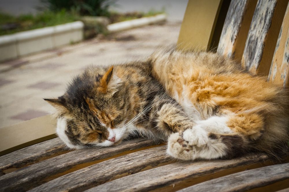 Photograph by Pavel Gukov